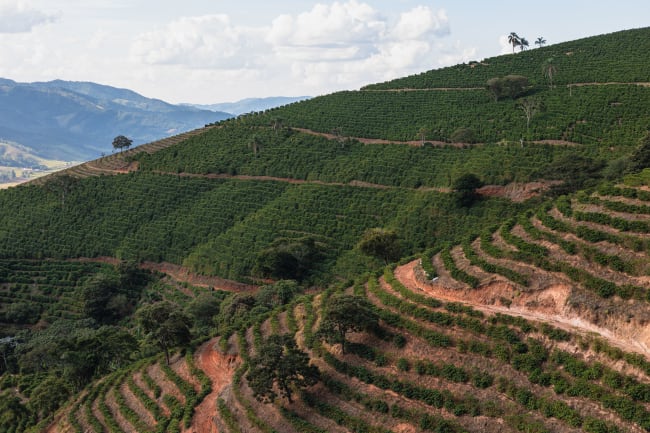 Brazil Serra Negra
