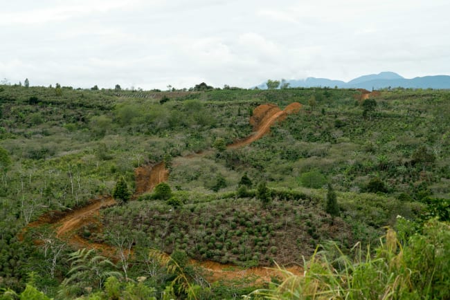 Sumatra Aceh