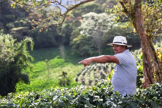 Nicaragua Jinotega