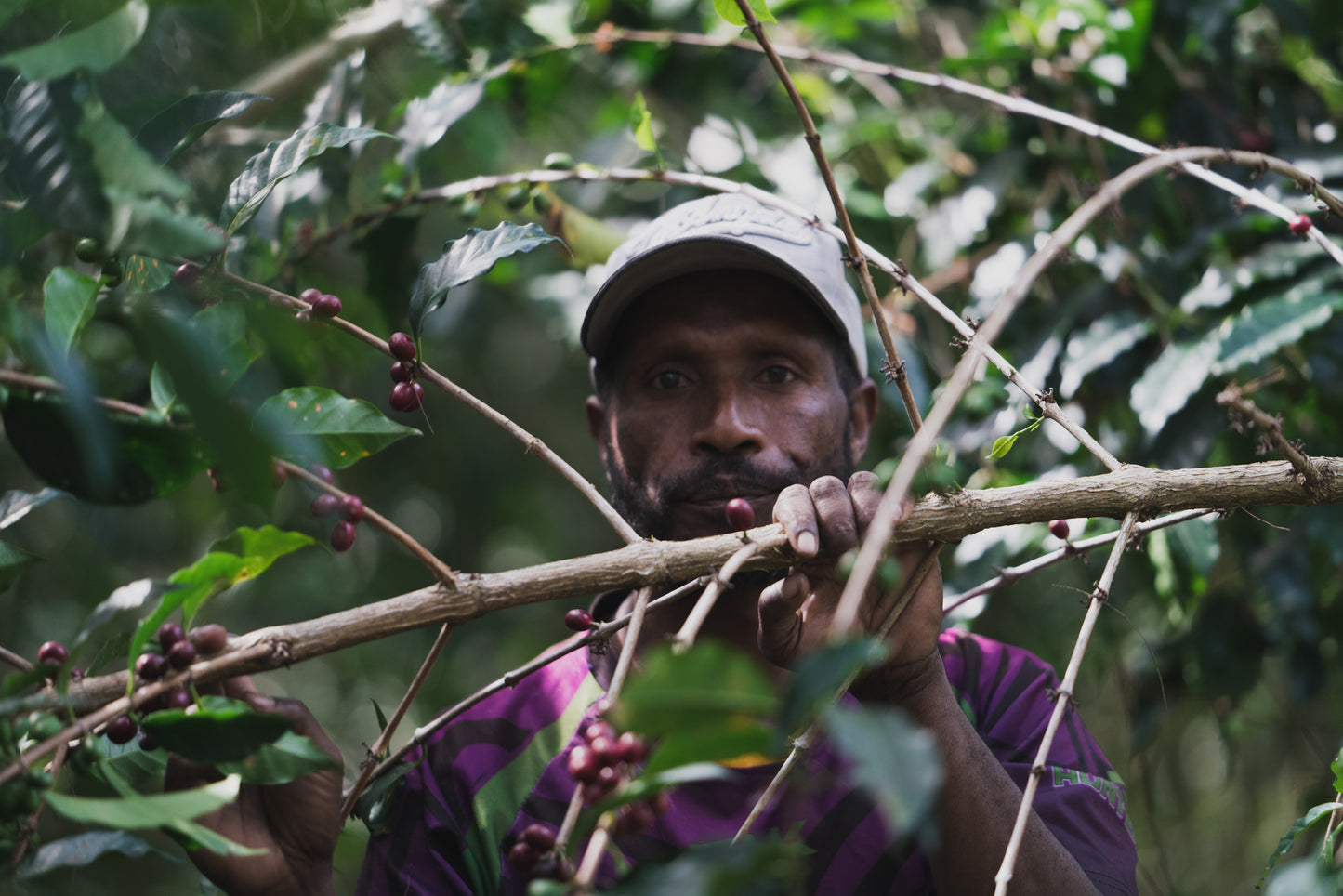 Papua New Guinea