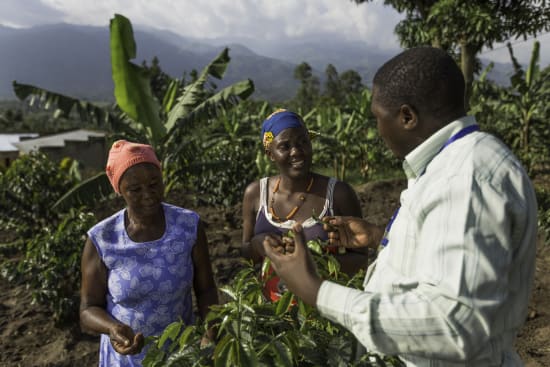 Uganda Rwenzori