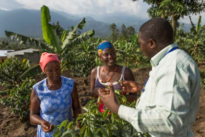 Uganda Rwenzori
